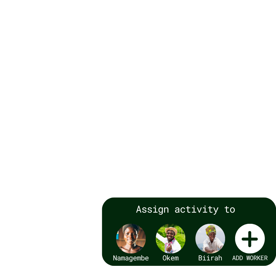 Screen